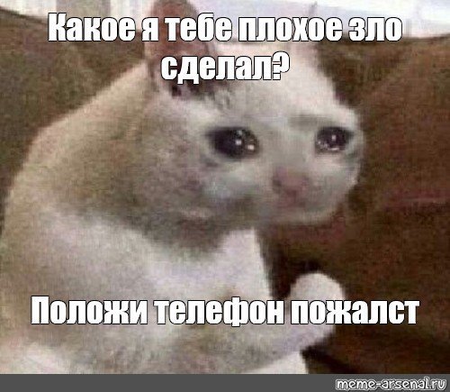 Плачущий кот с кулаком оригинал