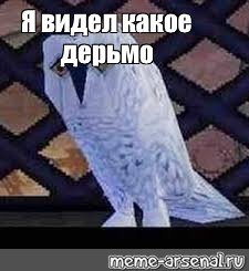 Сова Гарри Поттер я видел некоторое