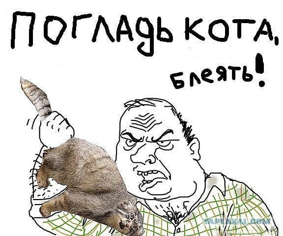 Погладь кота Мем