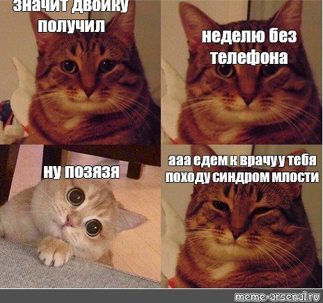 Котик Мем