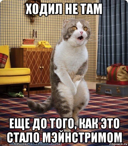 Неприемлемо Мем кот