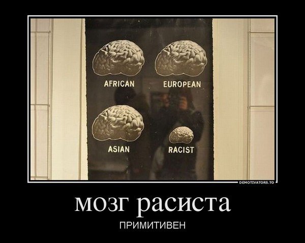 Мозг негра и белого
