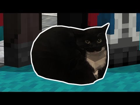 Maxwell кот Мем