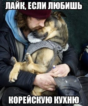 Мем про корейцев и собак