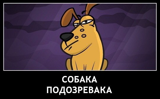 Собака подозревака картинка