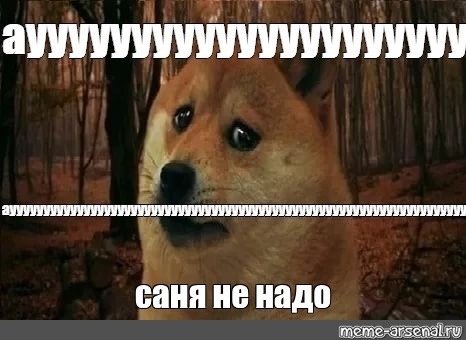 Мемы с грустной собакой