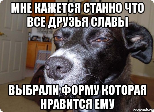 Собака подозревака