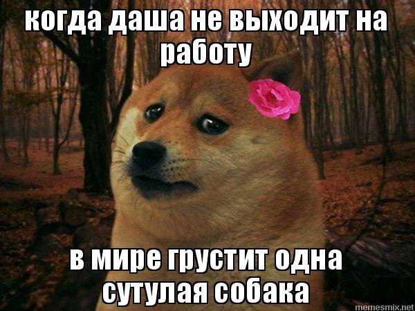 Пес Сутулый Мем
