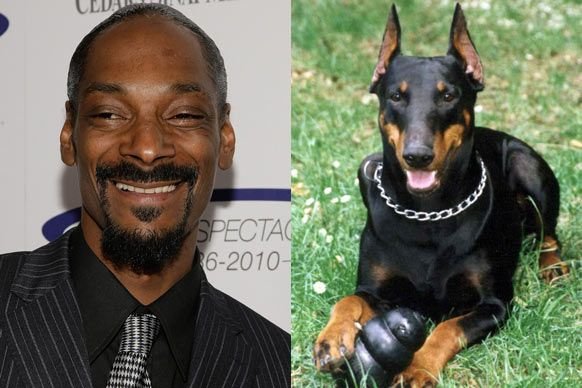 Собака снуп дог