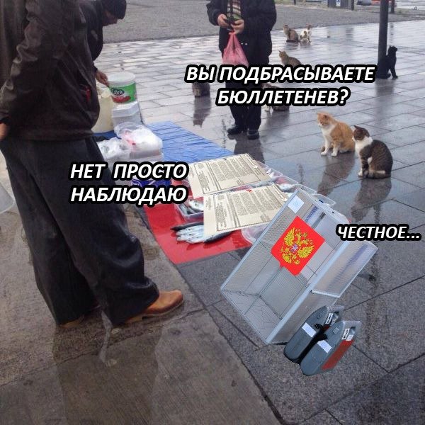 Мем про Рыбов и котов оригинал