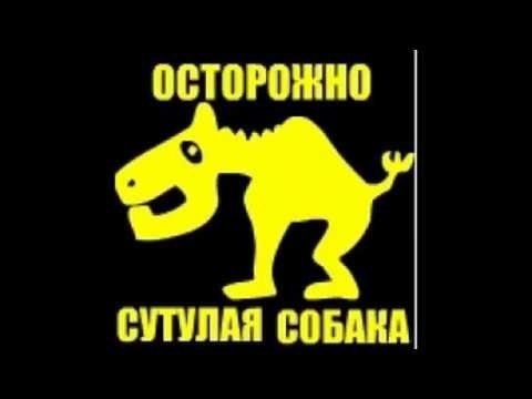 Собака сутулая прикол