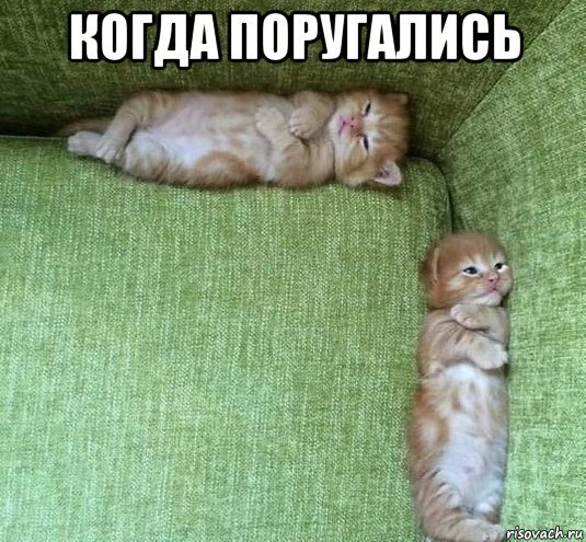 Когда поругались прикол