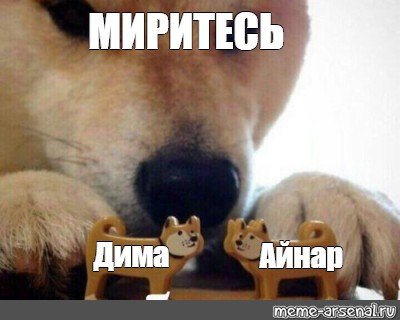 Сиба ину ебитес