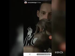 Собака кизару порода