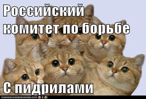 Пbдрила ебаная