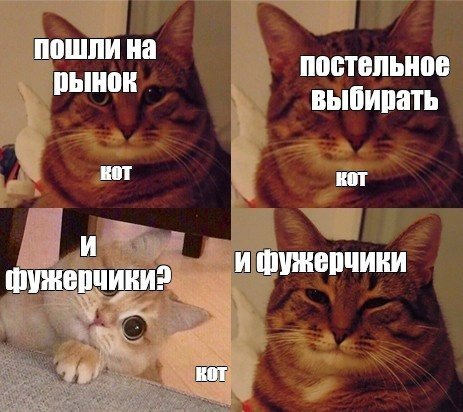 Мемы про котов