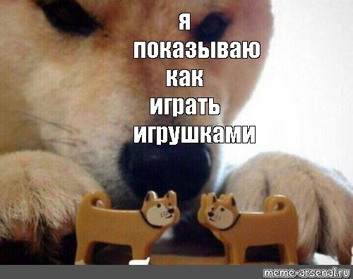 Акита ину Мем ебитес