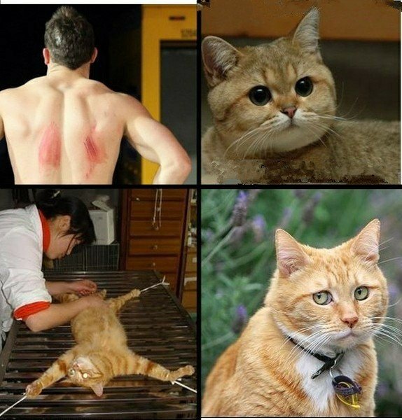 Ты думал я в игрушки играю