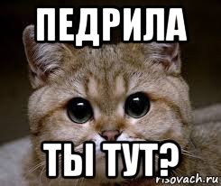 Ну ты Пидрила