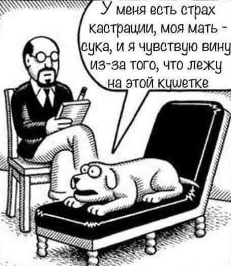 Собака психотерапевт