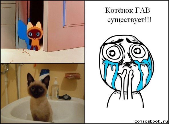 Неприятности Мем