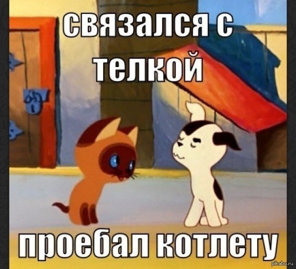 Котенок по имени Гав мемы