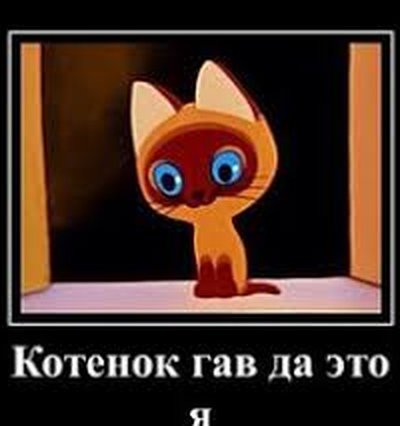 Котенок Гав мемы