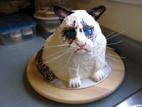 Тортик для котика