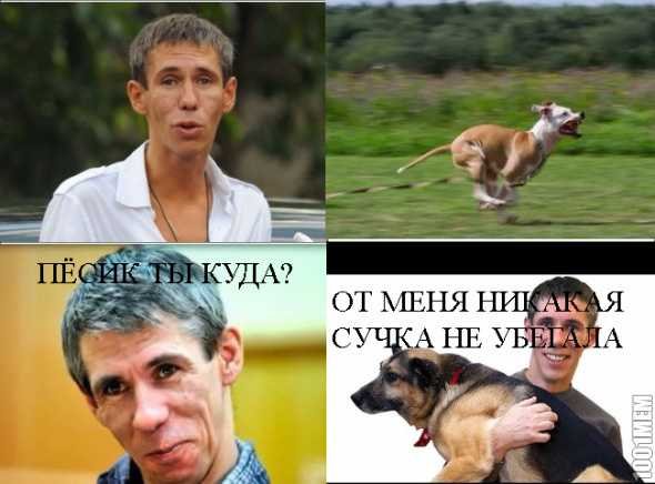 Алексей Панин мемы