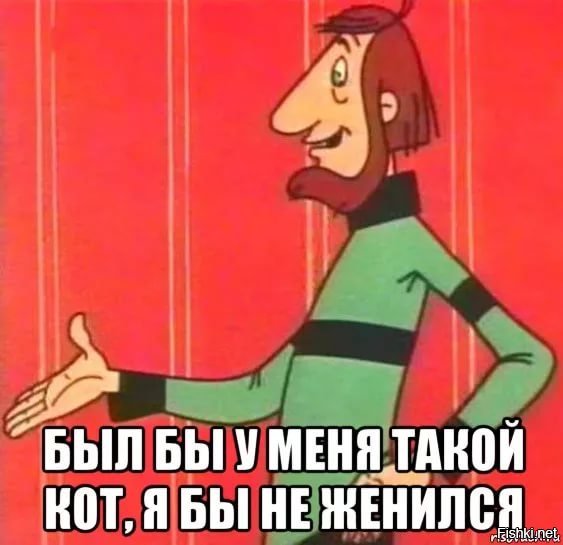 Был бы у меня такой кот