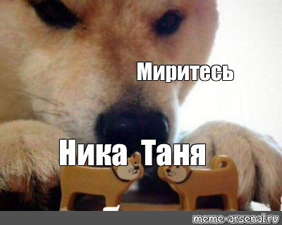 Миритесь с собакой