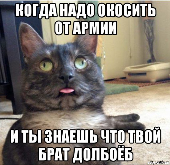 Офигеть от происходящего