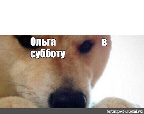 Сиба ину ебитес