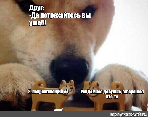 Миритесь Мем с собакой