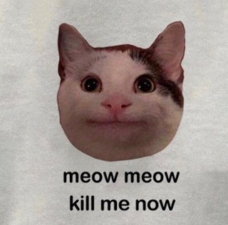 Хэппи Кэт Мем