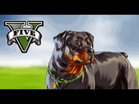 ГТА 5 Франклин и Чоп