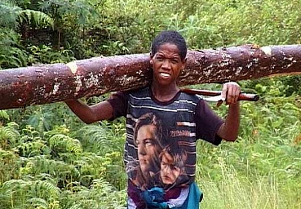 Человек срубает дерево