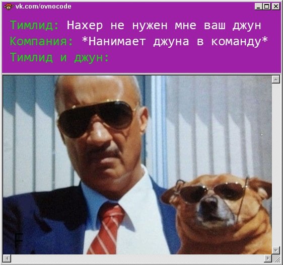 Папа не хочет собаку Мем