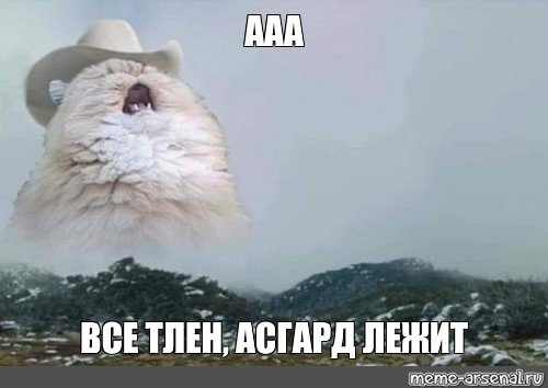 Мем кот ААА