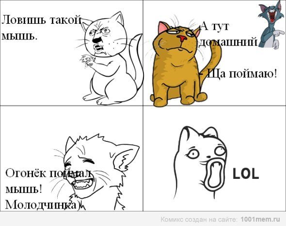 Комиксы про котов воителей