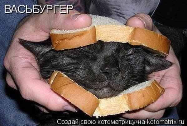 Пироги с котятами