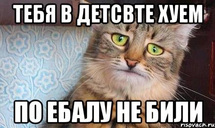 Котик бьет Мем