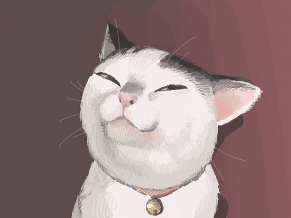 Хитрый довольный кот