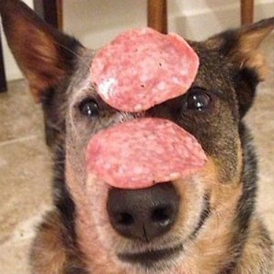 Собачка сосиска