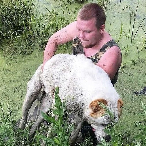 Садовников Федор Викторович Иркутск