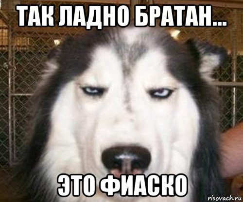 Мемы про фиаско