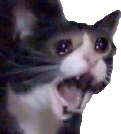 Плачущий кот кричит