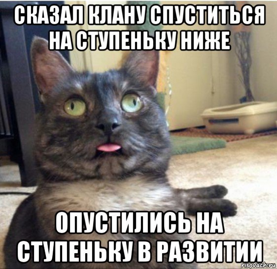 Кот сигнал потерян Мем