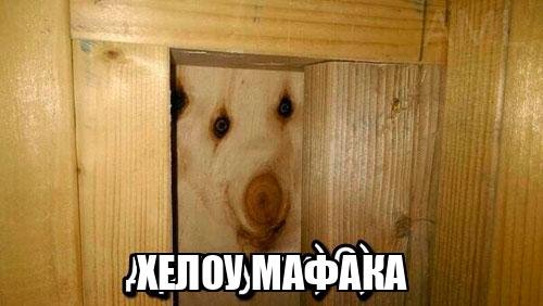 Дратути Мем