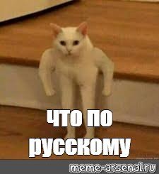 Я русский котенок